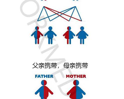 泰国试管代孕医院名称,最新泰国做试管正规中介排名