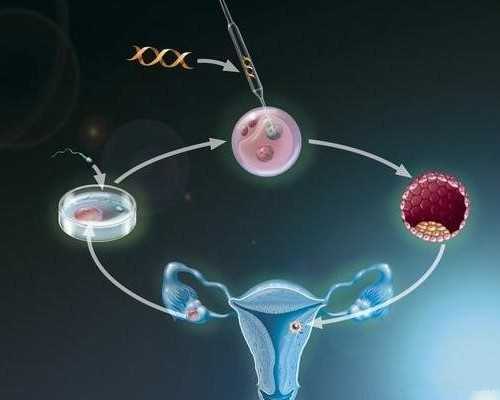 泰国供卵自怀三胎,自己33岁泰国试管亲身经历