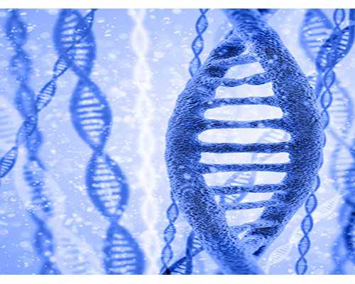 泰国供卵自怀医院,泰国试管婴儿失败的原因复杂吗