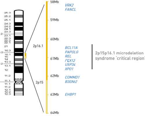 泰国女性借卵受孕,泰国试管婴儿有哪些优点