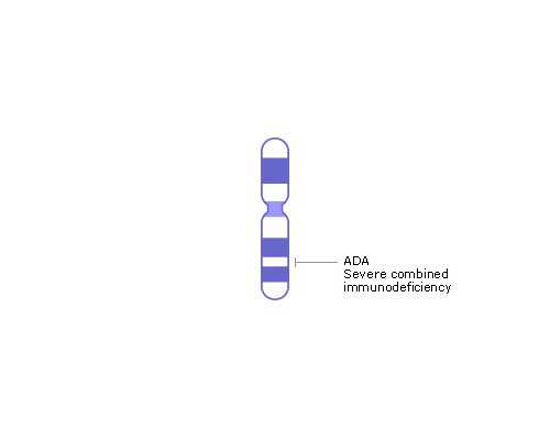 泰国的试管婴儿费用如何？,泰国全球生殖中心冻卵的注意事项