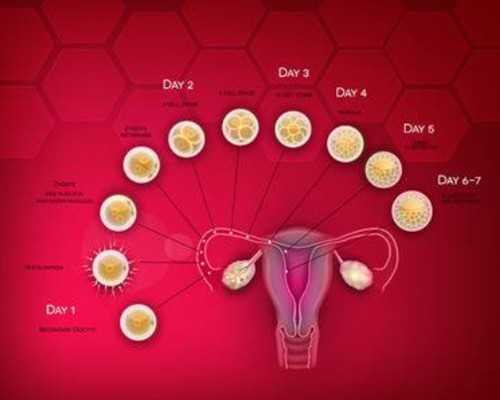 泰国供卵自怀机构,2023沈阳去泰国三代试管助孕生龙凤胎大概要花多少钱