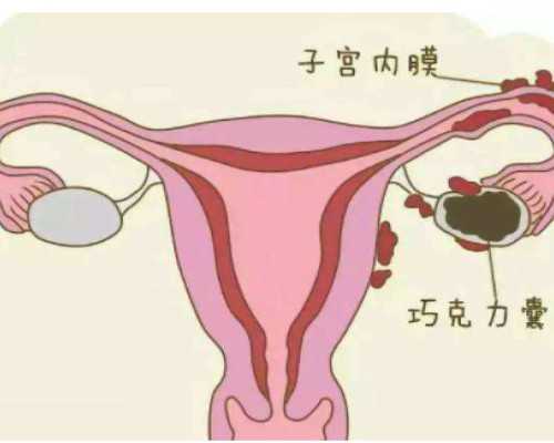 泰国代生哪里有,泰国试管婴儿具体流程——避免胎停