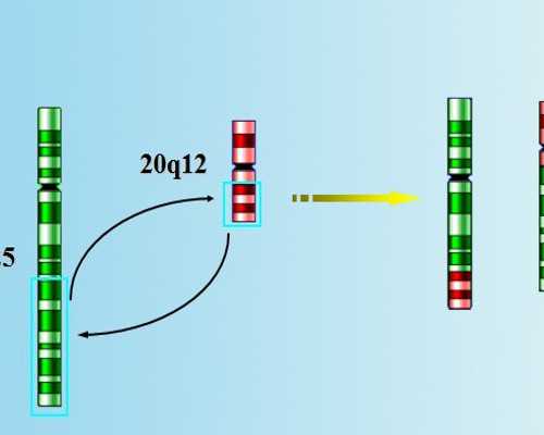 泰国试管移植龙凤胎可以吗？,泰国试管婴儿怎样？能生龙凤胎吗？