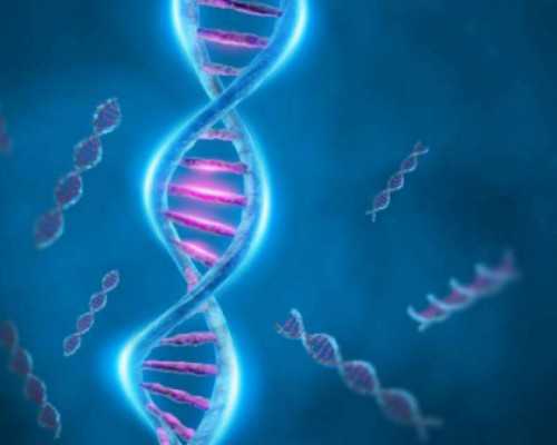 打九价hpv宫颈癌疫苗容易使人衰老吗？