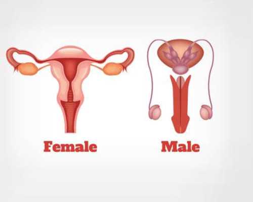 总是很好奇孩子性别，那你知道生男生女到底是取决于什么吗？