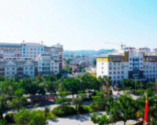 孕早期饮食指南：是否适宜食用扇贝？