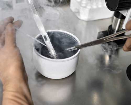 排卵期备孕吃什么好