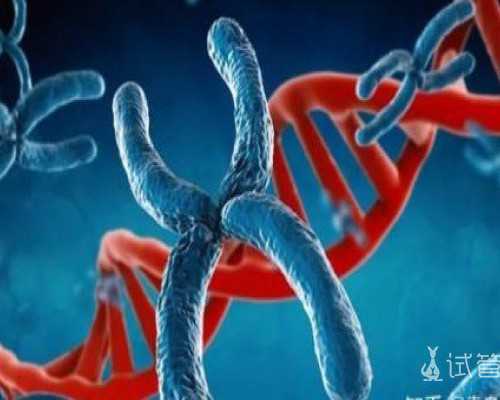 备孕怎么调养卵巢