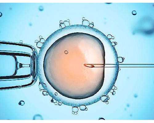 泰国试管婴儿卵子不好怎么继续下去,泰国冻卵费用一般多少