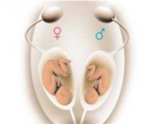 第三代试管的成功率？