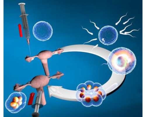 泰国代孕的医院,泰国试管失败率高还是成功率高？