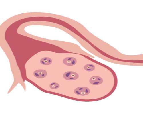 泰国哪家医院的试管婴儿最好?,泰国ART和LRC哪个医院试管技术好?