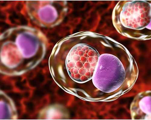 泰国供卵试管女孩,泰国试管正规中介公司,怎么看?