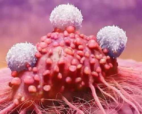 泰国代孕最好的医院,泰国试管婴儿中介机构费用