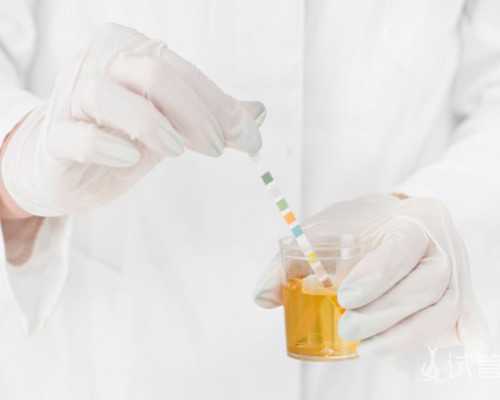 泰国代生公司怎样,阜阳第三代泰国试管移植程序