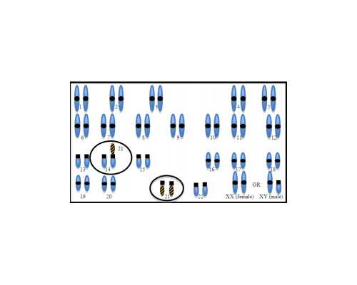 泰国最佳代怀网,泰国试管婴儿有哪些成本？