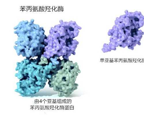 泰国代孕最好的中心,泰国做试管婴儿需要多少天