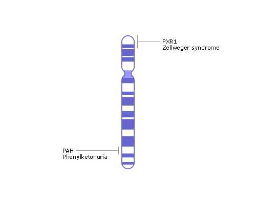 泰国代孕中心供卵靠谱吗,广州供卵试管|泰国供卵试管婴儿须知事项