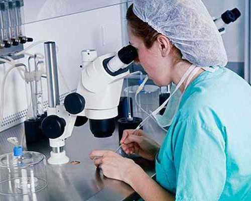 泰国代怀医院供卵,肇庆泰国试管婴儿费用多少钱？