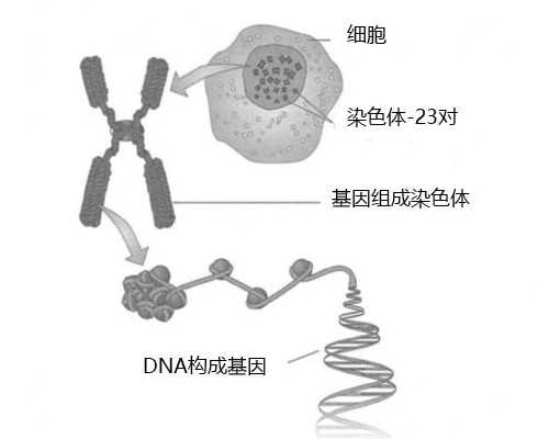 泰国正规代怀医院,泰国试管是否需要准生证？