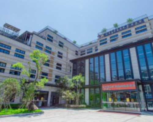 泰国代怀包生男孩,泰国做试管婴儿需要结婚证吗？