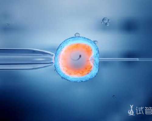 泰国代怀公司,泰国试管的具体流程是怎样的？