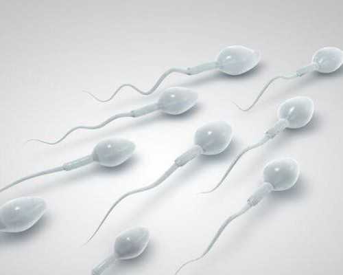 泰国供卵排队,莱芜第三代试管婴儿泰国费用