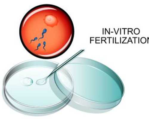 泰国试管代怀生殖,想问去泰国做试管婴儿有风险吗？