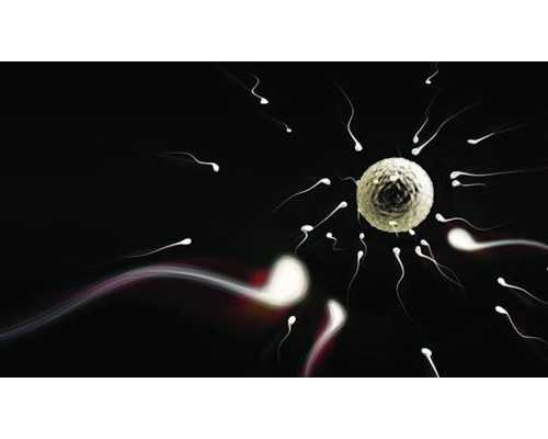 泰国代孕中介哪家正规靠谱,聊城三代试管泰国好还是国内好？山东三代试管婴