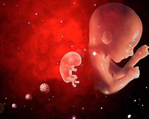 泰国哪有供卵机构,做泰国试管婴儿有哪些要求呢?