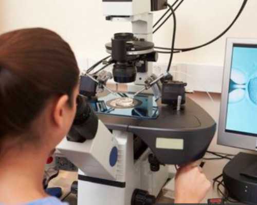 泰国BNH医院冻卵技术如何？,泰国杰特宁试管婴儿优势卵泡要求