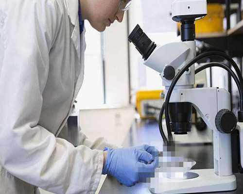 泰国代生宝宝贵吗,泰国试管婴儿风险：会变胖吗?