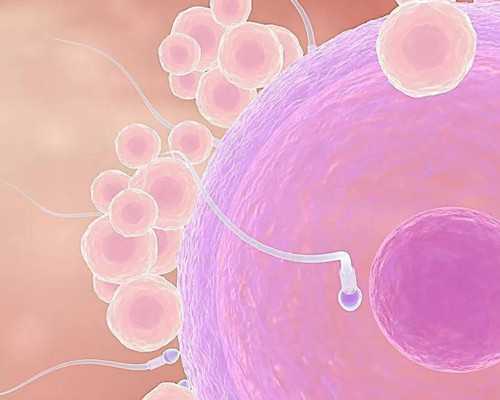 泰国试管婴儿包成功是真的吗?,泰国试管成功率最高的医院是?