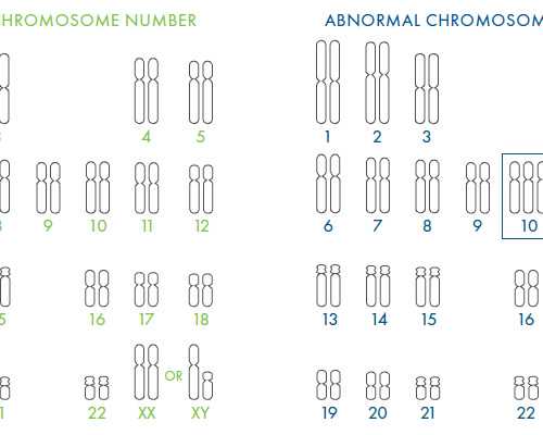 泰国辅助代怀,泰国康民国际医院做试管怎么样？