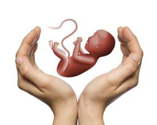 泰国专业供卵助孕,去泰国试管前调理个人经验总结