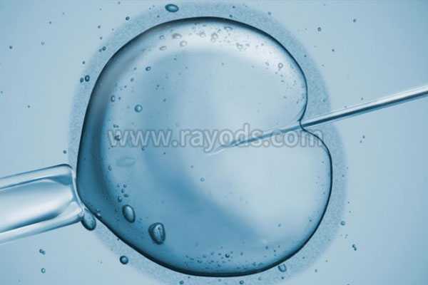 河西42岁供卵试管成功_河西37岁试管成功双胞胎_第二代试管对精子的要求有哪些